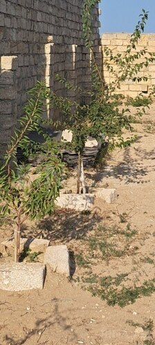 Satılır 3 otaqlı həyət evi/bağ evi 90 m², Qala q., photo 6 from 21