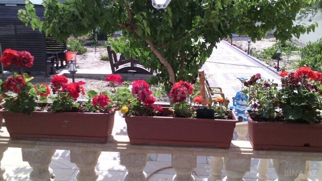 Satılır 5 otaqlı həyət evi/bağ evi 285 m², Novxanı q., photo 19 from 29