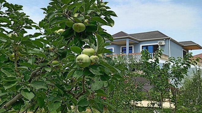 Satılır 5 otaqlı həyət evi/bağ evi 285 m², Novxanı q., photo 5 from 29