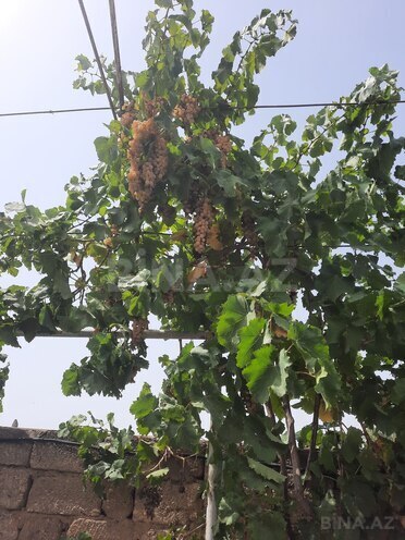 Продаётся 3-комн. дом/дача 80 м², пос. Тюркан, photo 9 from 22