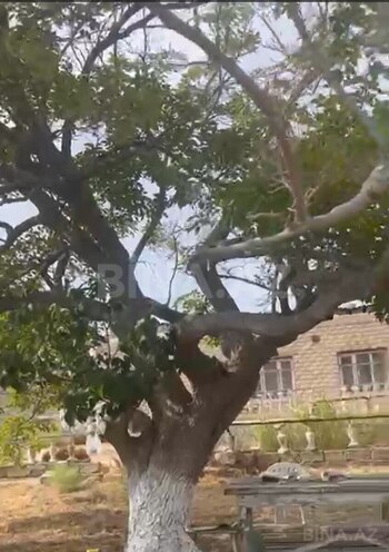 Продаётся 3-комн. дом/дача 80 м², пос. Тюркан, photo 13 from 22