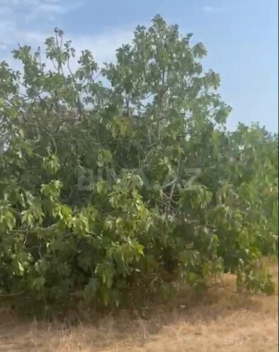 Продаётся 3-комн. дом/дача 80 м², пос. Тюркан, photo 14 from 22