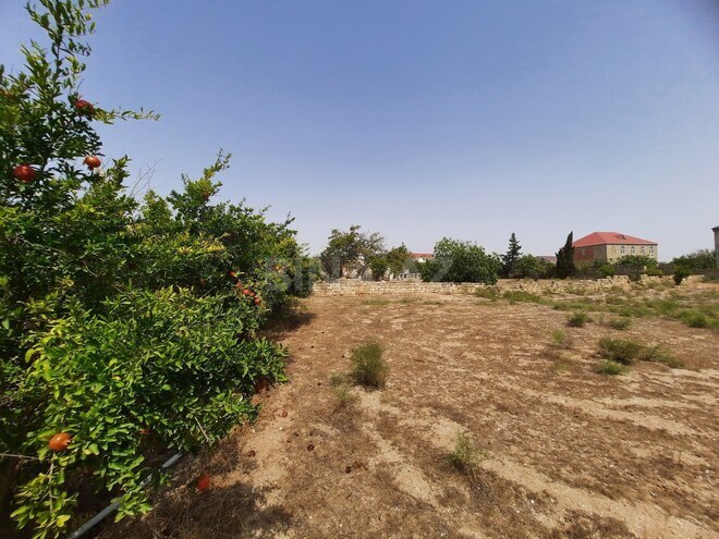 Продаётся 3-комн. дом/дача 80 м², пос. Тюркан, photo 17 from 22