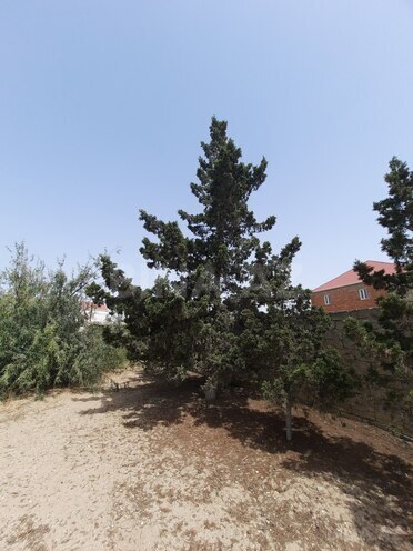 Продаётся 3-комн. дом/дача 80 м², пос. Тюркан, photo 19 from 22