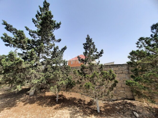 Продаётся 3-комн. дом/дача 80 м², пос. Тюркан, photo 20 from 22