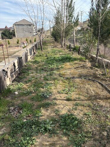 Продаётся  участок 12 сот, Абшеронcкий  р., photo 7 from 8