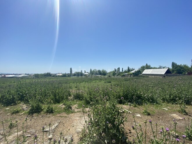 Satılır  torpaq 200 sot, photo 5 from 6