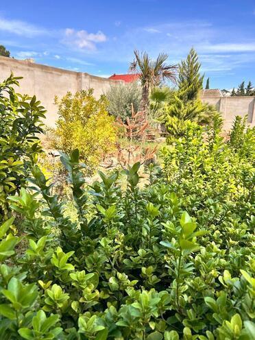 Продаётся 8-комн. дом/дача 300 м², пос. Бина, photo 17 from 21