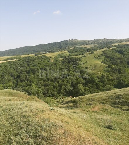 Satılır  torpaq 1 100 sot, photo 11 from 18