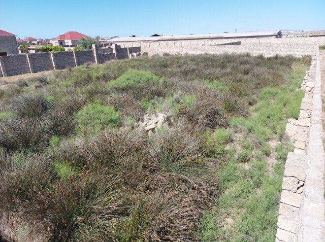 Продаётся  участок 12 сот, пос. Тюркан, photo 4 from 19