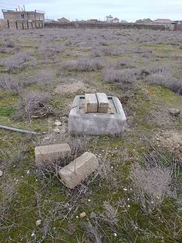 Satılır  torpaq 36 sot, Türkan q., photo 3 from 10