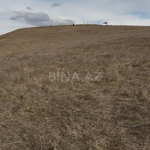 Satılır  torpaq 53 sot, photo 8 from 13