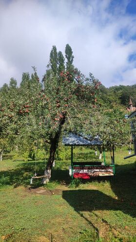 Сдаётся 4-комн. дом/дача 150 м², photo 18 from 21