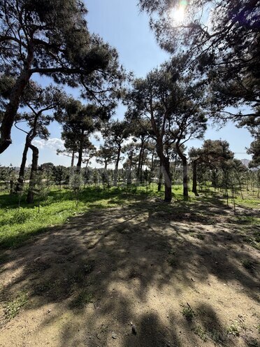 Продаётся 3-комн. новостройка 66 м², м. Гянджлик, photo 5 from 18