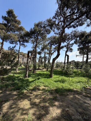 Продаётся 3-комн. новостройка 66 м², м. Гянджлик, photo 4 from 18