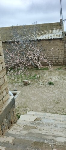 Satılır 6 otaqlı həyət evi/bağ evi 260 m², Zirə q., photo 5 from 19