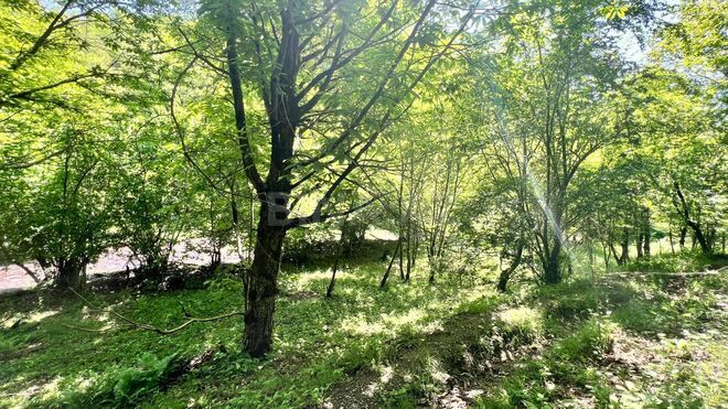 Satılır  torpaq 6 sot, photo 1 from 7