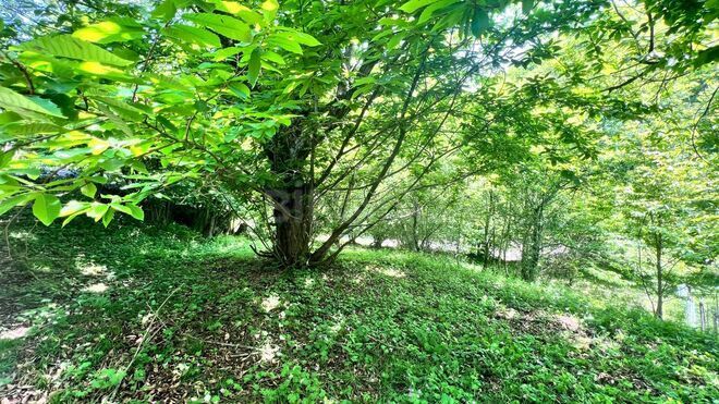 Satılır  torpaq 6 sot, photo 5 from 7