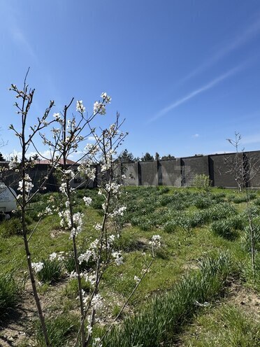 Продаётся 4-комн. дом/дача 200 м², пос. Вишнёвка, photo 6 from 26