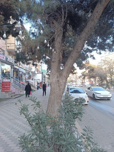 İcarəyə verilir  obyekt 65 m², Memar Əcəmi m., photo 3 from 12