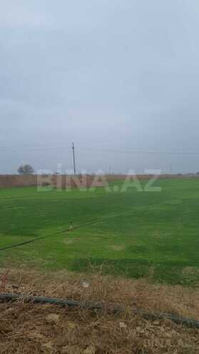 Satılır  torpaq 200 sot, Qala q., photo 6 from 7