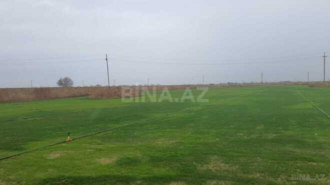 Satılır  torpaq 200 sot, Qala q., photo 3 from 7