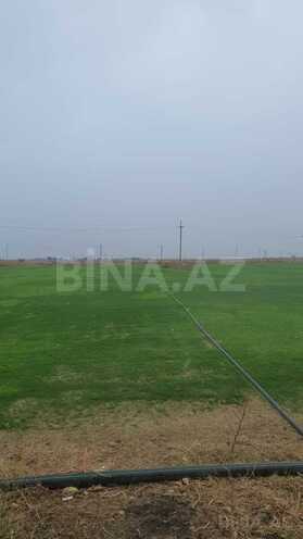 Satılır  torpaq 200 sot, Qala q., photo 4 from 7