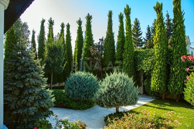 İcarəyə verilir 9 otaqlı həyət evi/bağ evi 700 m², Buzovna q., photo 5 from 32