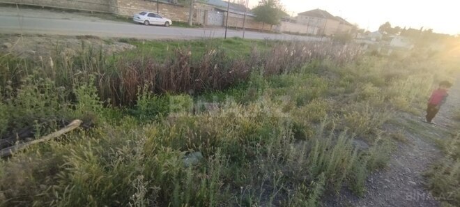 Satılır  torpaq 3 sot, photo 4 from 5