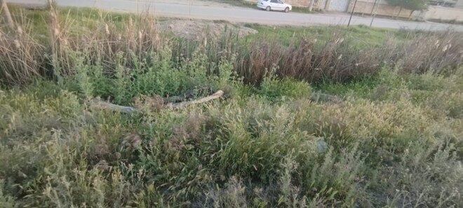 Satılır  torpaq 3 sot, photo 3 from 5