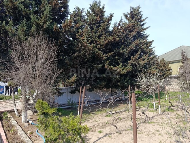 Продаётся  участок 12 сот, пос. Горадил, photo 8 from 11