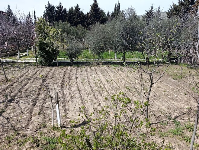 Продаётся  участок 12 сот, пос. Горадил, photo 5 from 11