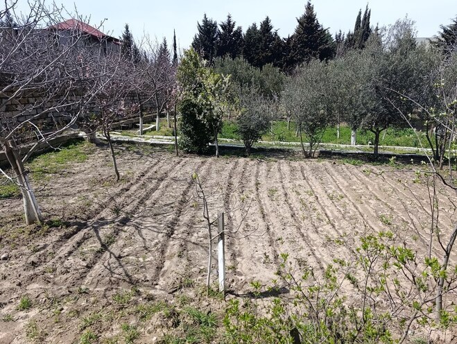 Продаётся  участок 12 сот, пос. Горадил, photo 6 from 11