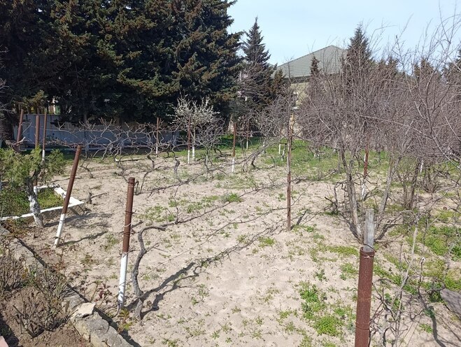 Продаётся  участок 12 сот, пос. Горадил, photo 10 from 11