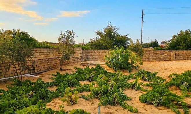 İcarəyə verilir 6 otaqlı həyət evi/bağ evi 200 m², Novxanı q., photo 3 from 16