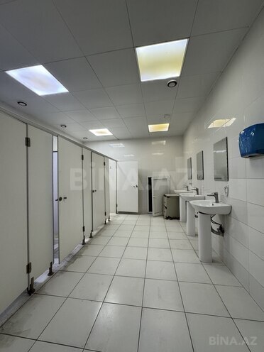 İcarəyə verilir  obyekt 3 100 m², Elmlər Akademiyası m., photo 8 from 25