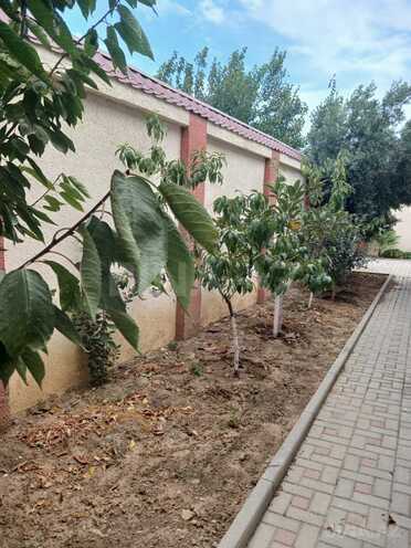 Satılır 4 otaqlı həyət evi/bağ evi 200 m², Qala q., photo 30 from 32