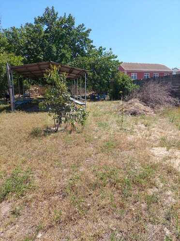 Продаётся  участок 150 сот, пос. Новханы, photo 9 from 22