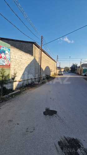 Продаётся  участок 80 сот, пос. Бина, photo 10 from 13