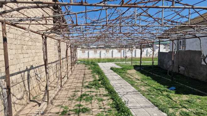 Продаётся  участок 80 сот, пос. Бина, photo 12 from 13