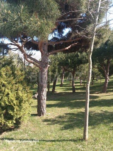 Продаётся 2-комн. новостройка 55 м², пос. Ази Асланова, photo 4 from 30