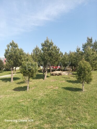 Продаётся 2-комн. новостройка 55 м², пос. Ази Асланова, photo 9 from 30