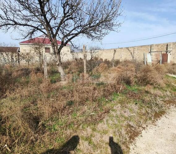 Satılır  torpaq 6 sot, photo 3 from 4