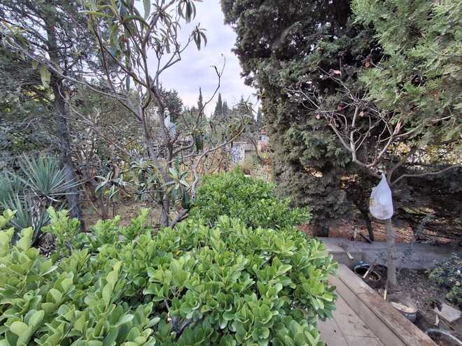 Satılır 12 otaqlı həyət evi/bağ evi 800 m², Badamdar q., photo 9 from 23