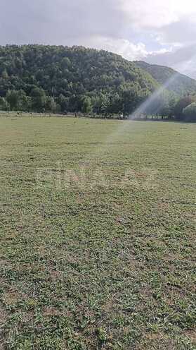 Satılır  torpaq 276 sot, photo 1 from 3