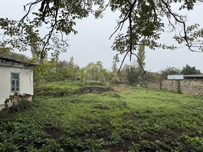 Продаётся  участок 30 сот, Хачмазский р., photo 8 from 14