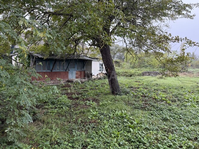 Продаётся  участок 30 сот, Хачмазский р., photo 6 from 14