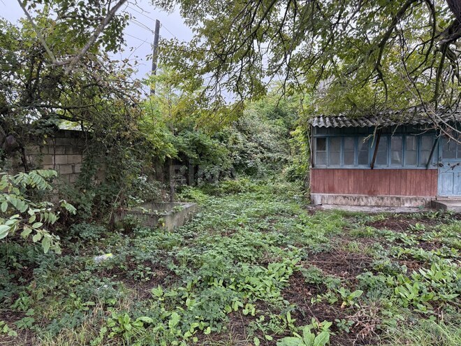 Продаётся  участок 30 сот, Хачмазский р., photo 7 from 14