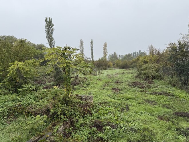 Продаётся  участок 30 сот, Хачмазский р., photo 12 from 14