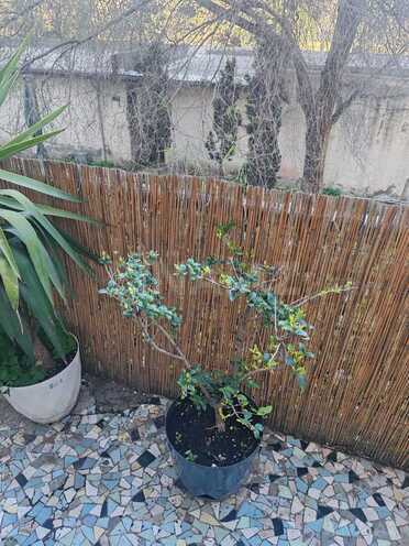 Сдаётся 2-комн. вторичка 55 м², пос. Бакиханова, photo 12 from 13